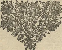 An illustration from Museum Museorum, Oder Vollständige Schau-Bühne Aller Materialien und Specereÿen: Nebst deren Natürlichen Beschreibung/ Election, Nutzen und Gebrauch/ Aus andern Material- Kunst- und Naturalien-Kammern/ Oost- und West-Indischen Reiß-Beschreibungen/ Curiosen Zeit- und Tag-Registern/ Natur- und Artzney-Kündigern/ wie auch selbst-eigenen Erfahrung ... (1704)