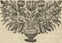 An illustration from Museum Museorum, Oder Vollständige Schau-Bühne Aller Materialien und Specereÿen: Nebst deren Natürlichen Beschreibung/ Election, Nutzen und Gebrauch/ Aus andern Material- Kunst- und Naturalien-Kammern/ Oost- und West-Indischen Reiß-Beschreibungen/ Curiosen Zeit- und Tag-Registern/ Natur- und Artzney-Kündigern/ wie auch selbst-eigenen Erfahrung ... (1704)