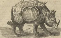 An illustration from Museum Museorum, Oder Vollständige Schau-Bühne Aller Materialien und Specereÿen: Nebst deren Natürlichen Beschreibung/ Election, Nutzen und Gebrauch/ Aus andern Material- Kunst- und Naturalien-Kammern/ Oost- und West-Indischen Reiß-Beschreibungen/ Curiosen Zeit- und Tag-Registern/ Natur- und Artzney-Kündigern/ wie auch selbst-eigenen Erfahrung ... (1704)