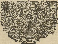 An illustration from Museum Museorum, Oder Vollständige Schau-Bühne Aller Materialien und Specereÿen: Nebst deren Natürlichen Beschreibung/ Election, Nutzen und Gebrauch/ Aus andern Material- Kunst- und Naturalien-Kammern/ Oost- und West-Indischen Reiß-Beschreibungen/ Curiosen Zeit- und Tag-Registern/ Natur- und Artzney-Kündigern/ wie auch selbst-eigenen Erfahrung ... (1704)