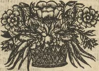 An illustration from Museum Museorum, Oder Vollständige Schau-Bühne Aller Materialien und Specereÿen: Nebst deren Natürlichen Beschreibung/ Election, Nutzen und Gebrauch/ Aus andern Material- Kunst- und Naturalien-Kammern/ Oost- und West-Indischen Reiß-Beschreibungen/ Curiosen Zeit- und Tag-Registern/ Natur- und Artzney-Kündigern/ wie auch selbst-eigenen Erfahrung ... (1704)