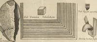 Picture 6 of 284 from Museum Museorum, Oder Vollständige Schau-Bühne Aller Materialien und Specereÿen: Nebst deren Natürlichen Beschreibung/ Election, Nutzen und Gebrauch/ Aus andern Material- Kunst- und Naturalien-Kammern/ Oost- und West-Indischen Reiß-Beschreibungen/ Curiosen Zeit- und Tag-Registern/ Natur- und Artzney-Kündigern/ wie auch selbst-eigenen Erfahrung ... (1704), leaf 47