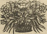An illustration from Museum Museorum, Oder Vollständige Schau-Bühne Aller Materialien und Specereÿen: Nebst deren Natürlichen Beschreibung/ Election, Nutzen und Gebrauch/ Aus andern Material- Kunst- und Naturalien-Kammern/ Oost- und West-Indischen Reiß-Beschreibungen/ Curiosen Zeit- und Tag-Registern/ Natur- und Artzney-Kündigern/ wie auch selbst-eigenen Erfahrung ... (1704)