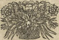 An illustration from Museum Museorum, Oder Vollständige Schau-Bühne Aller Materialien und Specereÿen: Nebst deren Natürlichen Beschreibung/ Election, Nutzen und Gebrauch/ Aus andern Material- Kunst- und Naturalien-Kammern/ Oost- und West-Indischen Reiß-Beschreibungen/ Curiosen Zeit- und Tag-Registern/ Natur- und Artzney-Kündigern/ wie auch selbst-eigenen Erfahrung ... (1704)