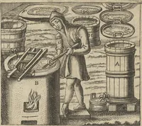 An illustration from Museum Museorum, Oder Vollständige Schau-Bühne Aller Materialien und Specereÿen: Nebst deren Natürlichen Beschreibung/ Election, Nutzen und Gebrauch/ Aus andern Material- Kunst- und Naturalien-Kammern/ Oost- und West-Indischen Reiß-Beschreibungen/ Curiosen Zeit- und Tag-Registern/ Natur- und Artzney-Kündigern/ wie auch selbst-eigenen Erfahrung ... (1704)
