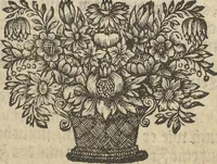 An illustration from Museum Museorum, Oder Vollständige Schau-Bühne Aller Materialien und Specereÿen: Nebst deren Natürlichen Beschreibung/ Election, Nutzen und Gebrauch/ Aus andern Material- Kunst- und Naturalien-Kammern/ Oost- und West-Indischen Reiß-Beschreibungen/ Curiosen Zeit- und Tag-Registern/ Natur- und Artzney-Kündigern/ wie auch selbst-eigenen Erfahrung ... (1704)