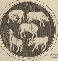 Picture 12 of 284 from Museum Museorum, Oder Vollständige Schau-Bühne Aller Materialien und Specereÿen: Nebst deren Natürlichen Beschreibung/ Election, Nutzen und Gebrauch/ Aus andern Material- Kunst- und Naturalien-Kammern/ Oost- und West-Indischen Reiß-Beschreibungen/ Curiosen Zeit- und Tag-Registern/ Natur- und Artzney-Kündigern/ wie auch selbst-eigenen Erfahrung ... (1704), leaf 55