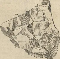 An illustration from Museum Museorum, Oder Vollständige Schau-Bühne Aller Materialien und Specereÿen: Nebst deren Natürlichen Beschreibung/ Election, Nutzen und Gebrauch/ Aus andern Material- Kunst- und Naturalien-Kammern/ Oost- und West-Indischen Reiß-Beschreibungen/ Curiosen Zeit- und Tag-Registern/ Natur- und Artzney-Kündigern/ wie auch selbst-eigenen Erfahrung ... (1704)