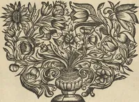 An illustration from Museum Museorum, Oder Vollständige Schau-Bühne Aller Materialien und Specereÿen: Nebst deren Natürlichen Beschreibung/ Election, Nutzen und Gebrauch/ Aus andern Material- Kunst- und Naturalien-Kammern/ Oost- und West-Indischen Reiß-Beschreibungen/ Curiosen Zeit- und Tag-Registern/ Natur- und Artzney-Kündigern/ wie auch selbst-eigenen Erfahrung ... (1704)