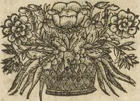 An illustration from Museum Museorum, Oder Vollständige Schau-Bühne Aller Materialien und Specereÿen: Nebst deren Natürlichen Beschreibung/ Election, Nutzen und Gebrauch/ Aus andern Material- Kunst- und Naturalien-Kammern/ Oost- und West-Indischen Reiß-Beschreibungen/ Curiosen Zeit- und Tag-Registern/ Natur- und Artzney-Kündigern/ wie auch selbst-eigenen Erfahrung ... (1704)