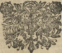 An illustration from Museum Museorum, Oder Vollständige Schau-Bühne Aller Materialien und Specereÿen: Nebst deren Natürlichen Beschreibung/ Election, Nutzen und Gebrauch/ Aus andern Material- Kunst- und Naturalien-Kammern/ Oost- und West-Indischen Reiß-Beschreibungen/ Curiosen Zeit- und Tag-Registern/ Natur- und Artzney-Kündigern/ wie auch selbst-eigenen Erfahrung ... (1704)