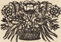 Picture 17 of 88 from (Zweyter Theil) (1714), leaf 107