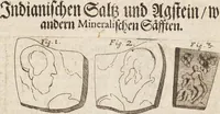 Picture 20 of 88 from (Zweyter Theil) (1714), leaf 119