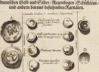 Picture 21 of 88 from (Zweyter Theil) (1714), leaf 122