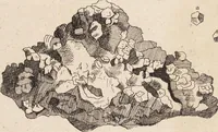 Picture 22 of 88 from (Zweyter Theil) (1714), leaf 132