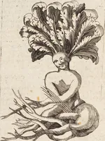 Picture 23 of 88 from (Zweyter Theil) (1714), leaf 134