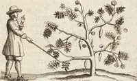 Picture 25 of 88 from (Zweyter Theil) (1714), leaf 140