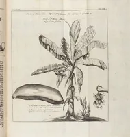 Picture 30 of 88 from (Zweyter Theil) (1714), leaf 149
