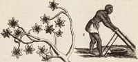 Picture 31 of 88 from (Zweyter Theil) (1714), leaf 154