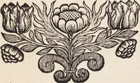 An illustration from (Zweyter Theil) (1714)