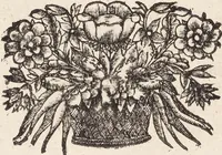 Picture 43 of 88 from (Zweyter Theil) (1714), leaf 194