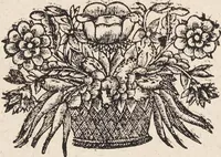 Picture 48 of 88 from (Zweyter Theil) (1714), leaf 212