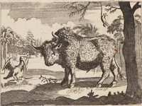 Picture 49 of 88 from (Zweyter Theil) (1714), leaf 213