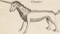 Picture 56 of 88 from (Zweyter Theil) (1714), leaf 231