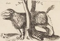 Picture 57 of 88 from (Zweyter Theil) (1714), leaf 232