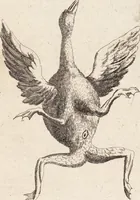 Picture 67 of 88 from (Zweyter Theil) (1714), leaf 264