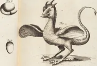 Picture 70 of 88 from (Zweyter Theil) (1714), leaf 272