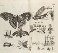 Picture 75 of 88 from (Zweyter Theil) (1714), leaf 289