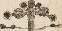 Picture 76 of 88 from (Zweyter Theil) (1714), leaf 294