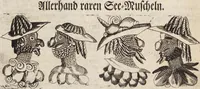 Picture 80 of 88 from (Zweyter Theil) (1714), leaf 302
