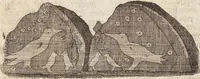 Picture 82 of 88 from (Zweyter Theil) (1714), leaf 316