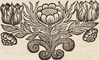 Picture 85 of 88 from (Zweyter Theil) (1714), leaf 326