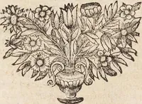 Picture 87 of 88 from (Zweyter Theil) (1714), leaf 353