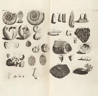 Picture 5 of 88 from (Zweyter Theil) (1714), leaf 46