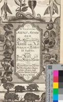 Picture 88 of 88 from (Zweyter Theil) (1714), leaf 465