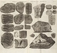 Picture 10 of 88 from (Zweyter Theil) (1714), leaf 78