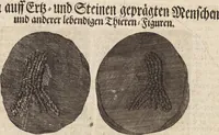 Picture 15 of 88 from (Zweyter Theil) (1714), leaf 95