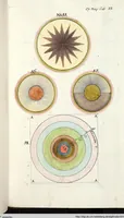 Picture 592 of 593 from Viridarium Reformatum, Seu Regnum Vegetabile, Das ist: Neu-eingerichtetes und Vollständiges Kräuter-Buch: Worinnen auff noch nicht geschehene Weise Derer Vegetabilien, als Kräutern, Sträuchen, Bäumen, Bluhmen und anderer Erd-Gewachsen Art, Krafft und Würckung dergestalt beschrieben werden, daß man dieses Werck statt einer Botanischen Bibliothec haben ... kan (1719), leaf 1119