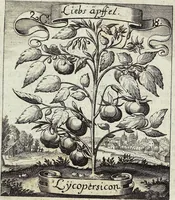 Picture 35 of 593 from Viridarium Reformatum, Seu Regnum Vegetabile, Das ist: Neu-eingerichtetes und Vollständiges Kräuter-Buch: Worinnen auff noch nicht geschehene Weise Derer Vegetabilien, als Kräutern, Sträuchen, Bäumen, Bluhmen und anderer Erd-Gewachsen Art, Krafft und Würckung dergestalt beschrieben werden, daß man dieses Werck statt einer Botanischen Bibliothec haben ... kan (1719), leaf 112