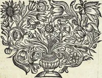 Picture 37 of 593 from Viridarium Reformatum, Seu Regnum Vegetabile, Das ist: Neu-eingerichtetes und Vollständiges Kräuter-Buch: Worinnen auff noch nicht geschehene Weise Derer Vegetabilien, als Kräutern, Sträuchen, Bäumen, Bluhmen und anderer Erd-Gewachsen Art, Krafft und Würckung dergestalt beschrieben werden, daß man dieses Werck statt einer Botanischen Bibliothec haben ... kan (1719), leaf 117
