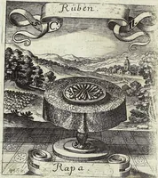 Picture 77 of 593 from Viridarium Reformatum, Seu Regnum Vegetabile, Das ist: Neu-eingerichtetes und Vollständiges Kräuter-Buch: Worinnen auff noch nicht geschehene Weise Derer Vegetabilien, als Kräutern, Sträuchen, Bäumen, Bluhmen und anderer Erd-Gewachsen Art, Krafft und Würckung dergestalt beschrieben werden, daß man dieses Werck statt einer Botanischen Bibliothec haben ... kan (1719), leaf 218