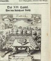 Picture 78 of 593 from Viridarium Reformatum, Seu Regnum Vegetabile, Das ist: Neu-eingerichtetes und Vollständiges Kräuter-Buch: Worinnen auff noch nicht geschehene Weise Derer Vegetabilien, als Kräutern, Sträuchen, Bäumen, Bluhmen und anderer Erd-Gewachsen Art, Krafft und Würckung dergestalt beschrieben werden, daß man dieses Werck statt einer Botanischen Bibliothec haben ... kan (1719), leaf 222