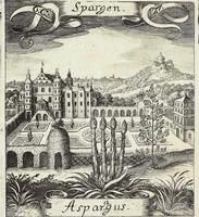 Picture 106 of 593 from Viridarium Reformatum, Seu Regnum Vegetabile, Das ist: Neu-eingerichtetes und Vollständiges Kräuter-Buch: Worinnen auff noch nicht geschehene Weise Derer Vegetabilien, als Kräutern, Sträuchen, Bäumen, Bluhmen und anderer Erd-Gewachsen Art, Krafft und Würckung dergestalt beschrieben werden, daß man dieses Werck statt einer Botanischen Bibliothec haben ... kan (1719), leaf 296
