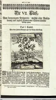 Picture 108 of 593 from Viridarium Reformatum, Seu Regnum Vegetabile, Das ist: Neu-eingerichtetes und Vollständiges Kräuter-Buch: Worinnen auff noch nicht geschehene Weise Derer Vegetabilien, als Kräutern, Sträuchen, Bäumen, Bluhmen und anderer Erd-Gewachsen Art, Krafft und Würckung dergestalt beschrieben werden, daß man dieses Werck statt einer Botanischen Bibliothec haben ... kan (1719), leaf 301