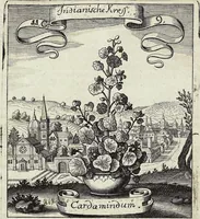 Picture 156 of 593 from Viridarium Reformatum, Seu Regnum Vegetabile, Das ist: Neu-eingerichtetes und Vollständiges Kräuter-Buch: Worinnen auff noch nicht geschehene Weise Derer Vegetabilien, als Kräutern, Sträuchen, Bäumen, Bluhmen und anderer Erd-Gewachsen Art, Krafft und Würckung dergestalt beschrieben werden, daß man dieses Werck statt einer Botanischen Bibliothec haben ... kan (1719), leaf 452