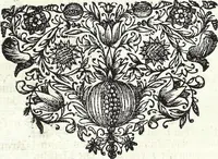 An illustration from Viridarium Reformatum, Seu Regnum Vegetabile, Das ist: Neu-eingerichtetes und Vollständiges Kräuter-Buch: Worinnen auff noch nicht geschehene Weise Derer Vegetabilien, als Kräutern, Sträuchen, Bäumen, Bluhmen und anderer Erd-Gewachsen Art, Krafft und Würckung dergestalt beschrieben werden, daß man dieses Werck statt einer Botanischen Bibliothec haben ... kan (1719)
